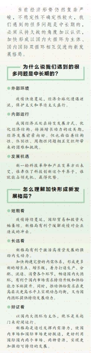 坚定不移做好自己的事 对话中国人民大学经济学院教授王孝松